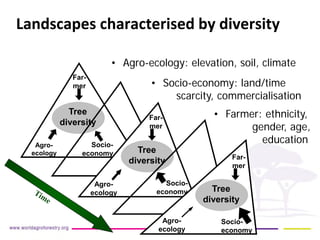 So what? 
Landscapes characterised by diversity 
Agro- ecology 
Far- mer 
Socio- economy 
Tree diversity 
Agro- ecology 
Far- mer 
Socio- economy 
Tree diversity 
Agro- ecology 
Far- mer 
Socio- economy 
Tree diversity 
• 
Agro-ecology: elevation, soil, climate 
• 
Farmer: ethnicity, gender, age, education 
• 
Socio-economy: land/time scarcity, commercialisation  