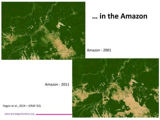 Amazon - 2001 
Amazon - 2011 
… in the Amazon 
Vagen et al., 2014 – ICRAF GSL  