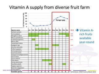 Vitamin A supply from diverse fruit farm 
Species name 
Jan 
Feb 
Mar 
April 
May 
Jun 
Jul 
Aug 
Sep 
Oct 
Nov 
Dec 
Vit A 
Lantana camara 
Carica papaya 
+++ 
Mangifera indica 
+++ 
Musa x paradisiaca 
Eriobotrya japonica 
+++ 
Morus alba 
Tamarindus indica 
Syzygium spp. 
+++ 
Annona reticulata 
Psidium guajava 
+ 
Punica granatum 
Casimiroa edulis 
Vangueria madagascariensis 
Citrus limon 
Citrus sinensis 
Vitex payos 
+++ 
Persea americana 
Passiflora edulis 
+ 
Pappea capensis 
Balanites aegyptiaca 
Carissa edulis 
Available species 
2 
3 
4 
2 
3 
3 
2 
1 
1 
1 
2 
2 
Hunger gap 
 Vitamin A- rich fruits available year-round 
Kehlenbeck, ICRAF ScienceWeek 2014  