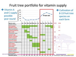 Species name 
Jan 
Feb 
Mar 
April 
May 
Jun 
Jul 
Aug 
Sep 
Oct 
Nov 
Dec 
Vit C 
Vit A 
Lantana camara 
Carica papaya 
+ 
+++ 
Mangifera indica 
+ 
+++ 
Musa x paradisiaca 
Eriobotrya japonica 
+++ 
Morus alba 
(+) 
Tamarindus indica 
Syzygium spp. 
+++ 
Annona reticulata 
(+) 
Psidium guajava 
+++ 
+ 
Punica granatum 
Casimiroa edulis 
(+) 
Vangueria madagascariensis 
Citrus limon 
+ 
Citrus sinensis 
+ 
Vitex payos 
+++ 
Persea americana 
Passiflora edulis 
+ 
Pappea capensis 
Balanites aegyptiaca 
(+) 
Carissa edulis 
Available species 
2 
4 
6 
4 
4 
5 
4 
2 
3 
1 
2 
2 
Hunger gap 
Fruit tree portfolio for vitamin supply 
 Vitamin A and C supply possible year-round 
 Cultivation of 8-13 fruit tree species on each farm 
Kehlenbeck, ICRAF ScienceWeek 2014  