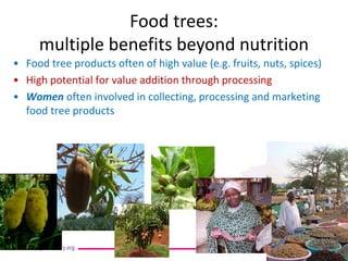 How are trees used? 
• 
Food tree products often of high value (e.g. fruits, nuts, spices) 
• 
High potential for value addition through processing 
• 
Women often involved in collecting, processing and marketing food tree products 
Food trees: multiple benefits beyond nutrition  