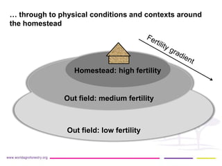 … through to physical conditions and contexts around the homestead 
Homestead: high fertility 
Out field: low fertility 
Out field: medium fertility  