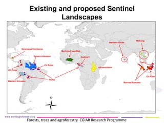 Existing and proposed Sentinel Landscapes 
Forests, trees and agroforestry CGIAR Research Programme  