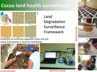 Cocoa land health surveillance 
Cocoa diseases 
Collection of numerous vegetation data, soil and cocoa leaf samples in sentinel sites/blocks 
Spectral analysis 
Soil processing 
Land 
Degradation 
Surveillance 
Framework  
