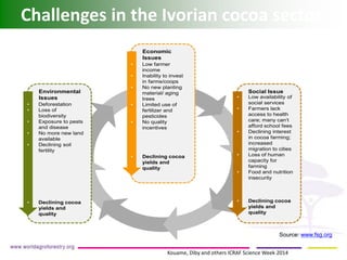 Challenges in the Ivorian cocoa sector 
Economic Issues•Low farmer income•Inability to invest in farms/coops•No new planting material/ aging trees•Limited use of fertilizer and pesticides•No quality incentives•Declining cocoa yields and qualityEnvironmental Issues•Deforestation•Loss of biodiversity•Exposure to pests and disease•No more new land available•Declining soil fertility•Declining cocoa yields and quality Social Issue•Low availability of social services•Farmers lack access to health care; many can’t afford school fees•Declining interest in cocoa farming; increased migration to cities•Loss of human capacity for farming•Food and nutrition insecurity•Declining cocoa yields and quality 
Source: www.fsg.org 
Kouame, Diby and others ICRAF Science Week 2014  