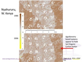 Nyahururu, 
W. Kenya 
2006 
1986 
Vagen et al., 2014 – ICRAF GSL 
Agroforestry based systems appear to hold Soil Organic Carbon better  