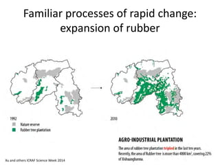 Familiar processes of rapid change: expansion of rubber 
Xu and others ICRAF Science Week 2014  
