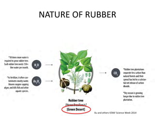 NATURE OF RUBBER 
Xu and others ICRAF Science Week 2014  