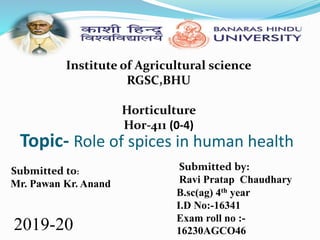 Topic- Role of spices in human health
2019-20
Institute of Agricultural science
RGSC,BHU
Horticulture
Hor-411 (0-4)
Submitted to:
Mr. Pawan Kr. Anand
Submitted by:
Ravi Pratap Chaudhary
B.sc(ag) 4th year
I.D No:-16341
Exam roll no :-
16230AGCO46
 