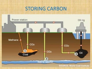 STORING CARBON
 