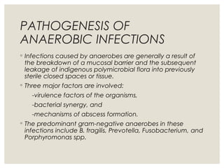 PATHOGENESIS OF
ANAEROBIC INFECTIONS
◦ Infections caused by anaerobes are generally a result of
the breakdown of a mucosal barrier and the subsequent
leakage of indigenous polymicrobial flora into previously
sterile closed spaces or tissue.
◦ Three major factors are involved:
-virulence factors of the organisms,
-bacterial synergy, and
-mechanisms of abscess formation.
◦ The predominant gram-negative anaerobes in these
infections include B. fragilis, Prevotella, Fusobacterium, and
Porphyromonas spp.
 