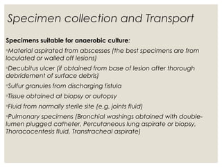 Specimen collection and Transport
Specimens suitable for anaerobic culture:
◦Material aspirated from abscesses (the best specimens are from
loculated or walled off lesions)
◦Decubitus ulcer (if obtained from base of lesion after thorough
debridement of surface debris)
◦Sulfur granules from discharging fistula
◦Tissue obtained at biopsy or autopsy
◦Fluid from normally sterile site (e.g. joints fluid)
◦Pulmonary specimens (Bronchial washings obtained with double-
lumen plugged catheter, Percutaneous lung aspirate or biopsy,
Thoracocentesis fluid, Transtracheal aspirate)
 
