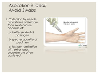 Aspiration is ideal;
Avoid Swabs
II. Collection by needle
aspiration is preferable
than swab culture
because of;
a. better survival of
pathogen
b. greater quantity of
specimen
c. less contamination
with extraneous
organism are often
achieved
 