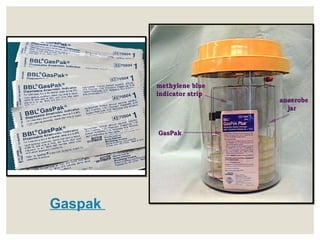 Gaspak
 