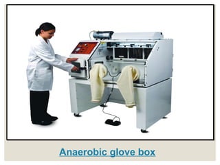 Anaerobic glove box
 