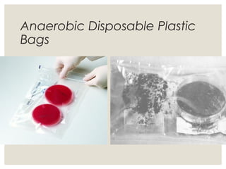 Anaerobic Disposable Plastic
Bags
 