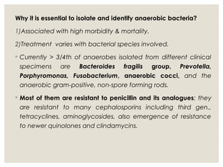 Why it is essential to isolate and identify anaerobic bacteria?
1)Associated with high morbidity & mortality.
2)Treatment varies with bacterial species involved.
◦ Currently > 3/4th of anaerobes isolated from different clinical
specimens are Bacteroides fragilis group, Prevotella,
Porphyromonas, Fusobacterium, anaerobic cocci, and the
anaerobic gram-positive, non-spore forming rods.
◦ Most of them are resistant to penicillin and its analogues; they
are resistant to many cephalosporins including third gen.,
tetracyclines, aminoglycosides, also emergence of resistance
to newer quinolones and clindamycins.
 