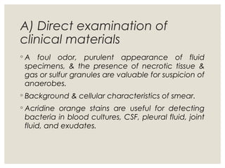 A) Direct examination of
clinical materials
◦ A foul odor, purulent appearance of fluid
specimens, & the presence of necrotic tissue &
gas or sulfur granules are valuable for suspicion of
anaerobes.
◦ Background & cellular characteristics of smear.
◦ Acridine orange stains are useful for detecting
bacteria in blood cultures, CSF, pleural fluid, joint
fluid, and exudates.
 
