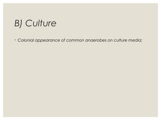 B) Culture
◦ Colonial appearance of common anaerobes on culture media;
 