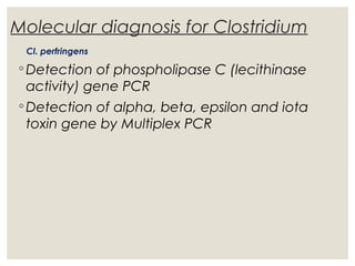 Molecular diagnosis for Clostridium
Cl. perfringens
◦ Detection of phospholipase C (lecithinase
activity) gene PCR
◦ Detection of alpha, beta, epsilon and iota
toxin gene by Multiplex PCR
 