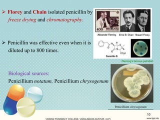  Florey and Chain isolated penicillin by
freeze drying and chromatography.
 Penicillin was effective even when it is
diluted up to 800 times.
Biological sources:
Penicillium notatum, Penicillium chrysogenum
VIGNAN PHARMACY COLLEGE, VADALAMUDI,GUNTUR. (A.P)
10
Fleming’s famous petridish
Penicillium chrysogenum
 