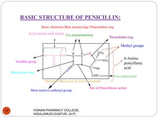 BASIC STRUCTURE OF PENICILLIN:
VIGNAN PHARMACY COLLEGE,
VADALAMUDI,GUNTUR. (A.P)
11
Acyl amino side chain
6-Amino
penicillanic
acid
H
C
C N
H
C
C
C
S
O
CH3
CH3
COO-
H
HNCR
O
Free carboxylate
Cis stereochemistry
Most reactive carbonyl group
Site of Penicillinase action
Basic chemistry:Beta lactum ring+Thiazolidine ring
Bicyclic ring system sysyem is essential
Variable group
Beta lactum ring
Thiazolidine ring
Methyl groups
 