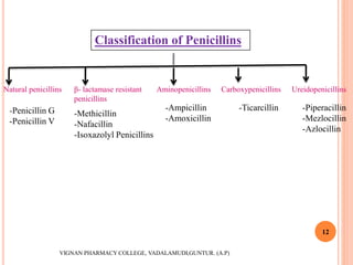 Classification of Penicillins
Natural penicillins β- lactamase resistant
penicillins
Aminopenicillins Carboxypenicillins Ureidopenicillins
-Penicillin G
-Penicillin V
-Methicillin
-Nafacillin
-Isoxazolyl Penicillins
-Ampicillin
-Amoxicillin
-Ticarcillin -Piperacillin
-Mezlocillin
-Azlocillin
VIGNAN PHARMACY COLLEGE, VADALAMUDI,GUNTUR. (A.P)
12
 