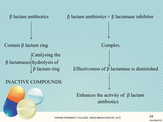 β lactam antibiotics β lactam antibiotics + β lactamase inhibitor
Contain β lactum ring Complex
Catalysing the
β lactamases hydrolysis of
β lactum ring Effectiveness of β lactamase is diminished
INACTIVE COMPOUNDS
Enhances the activity of β lactam
antibiotics
VIGNAN PHARMACY COLLEGE, VADALAMUDI,GUNTUR. (A.P) 24
 