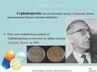 Cephalosporins are second major group of β-lactam ,broad
spectrum,penicillanase resistant antibiotics
 They were isolated from cultures of
Cephalosporium acremonium by italian scientist
Giuseppe Brotzu in 1945.
VIGNAN PHARMACY COLLEGE, VADALAMUDI,GUNTUR. (A.P)
29
INTRODUCTION
 