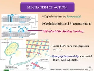 VIGNAN PHARMACY COLLEGE, VADALAMUDI,GUNTUR. (A.P)
38
Cephalosporins are bactericidal.
Cephalosporins and β-lactams bind to
PBPs(Penicillin Binding Proteins).
Some PBPs have transpeptidase
activity.
Transpeptidase activity is essential
in cell wall synthesis.
MECHANISM OF ACTION:
 