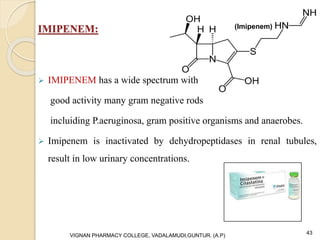 IMIPENEM:
 IMIPENEM has a wide spectrum with
good activity many gram negative rods
incluiding P.aeruginosa, gram positive organisms and anaerobes.
 Imipenem is inactivated by dehydropeptidases in renal tubules,
result in low urinary concentrations.
VIGNAN PHARMACY COLLEGE, VADALAMUDI,GUNTUR. (A.P) 43
(Imipenem)
 