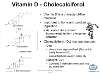 Vitamin D - Cholecalciferol
• Vitamin D is a cholesterol-like
molecule
• Important to bone and calcium
regulation
– Acts more like a steroid
hormone rather than a enzyme
cofactor
E.A. DENNIS 2010 ©7-dehydrocholesterol
• Cholecalciferol (D3) has two sources:
– Diet
• plants have ergocalciferol (D2), which
easily becomes D3
• animal flesh has ready-made D3
– Sunlight (UV)
• Converts 7-dehydrocholesterol into
D3 in the skin
synthesis in skin
Cholecalciferol
Diet
Ergocalciferol
Vignan Pharmacy College, Vadlamudi,
Guntur
10/9/2015
 