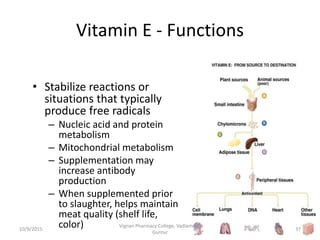 Vitamin E - Functions
• Stabilize reactions or
situations that typically
produce free radicals
– Nucleic acid and protein
metabolism
– Mitochondrial metabolism
– Supplementation may
increase antibody
production
– When supplemented prior
to slaughter, helps maintain
meat quality (shelf life,
color) 37
Vignan Pharmacy College, Vadlamudi,
Guntur
10/9/2015
 
