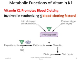 Metabolic Functions of Vitamin K1
Vitamin K1 Promotes Blood Clotting
Involved in synthesizing 4 blood-clotting factors!
50
Vignan Pharmacy College, Vadlamudi,
Guntur
10/9/2015
 