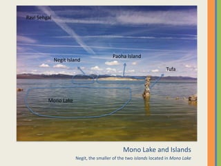 Mono Lake and IslandsNegit, the smaller of the two islands located in Mono LakeRavi SehgalPaoha IslandNegit IslandTufaMono Lake 