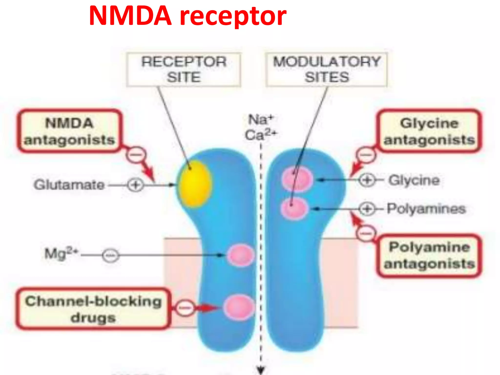 NEUROHUMORAL TRANSMISSION IN CNS OVERVIEW