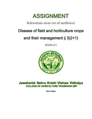 ASSIGNMENT
Sclerotinia stem rot of sunflower
Disease of field and horticulture crops
and their management || 3(2+1)
2020-21
Ravi Yadav
 