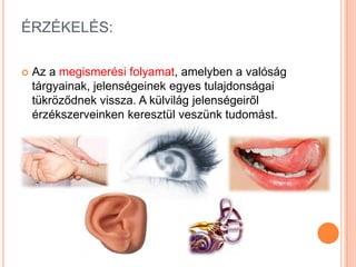 ÉRZÉKELÉS:

   Az a megismerési folyamat, amelyben a valóság
    tárgyainak, jelenségeinek egyes tulajdonságai
    tükröződnek vissza. A külvilág jelenségeiről
    érzékszerveinken keresztül veszünk tudomást.
 