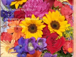 ÉRZÉKELÉS FELTÉTELEI

 érzékszerv vagy fogadószerv léte
 inger

 központi egység
 
