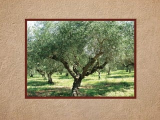 Αφιέρωμα στην Κύπρο