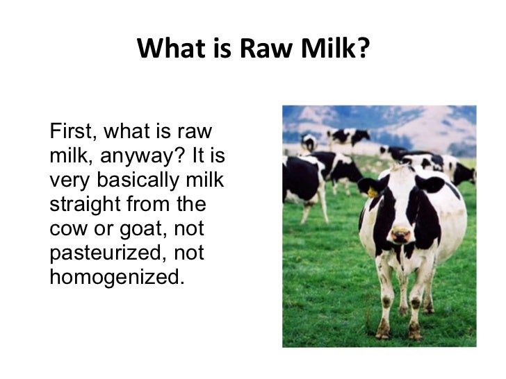 Raw Milk Benefits What Are the Health Benefits of Raw Milk