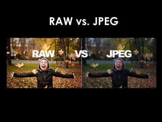 RAW vs. JPEG
 