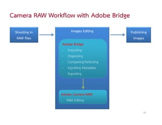 Camera RAW Workflow with Adobe Bridge
 Shooting in         Images Editing     Publishing
  RAW files                              images
                Adobe Bridge
                - Importing
                - Organizing
                - Comparing/Selecting
                - Inputting Metadata
                - Exporting



               Adobe Camera RAW
               - RAW Editing

                                               10
 