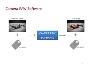 Camera RAW Software
  Grayscale Image                  Color Image




       +              CAMERA RAW
                       SOFTWARE
                                      +
           METADATA                       METADATA




                                                 3
 