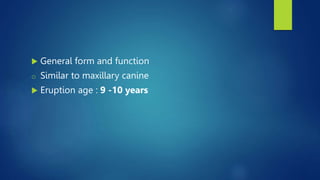  General form and function
o Similar to maxillary canine
 Eruption age : 9 -10 years
 