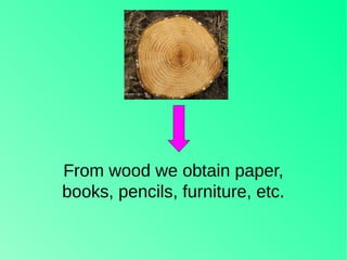 From wood we obtain paper,
books, pencils, furniture, etc.
 