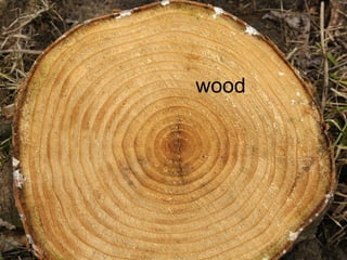 wood
 