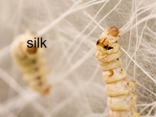 silk
 