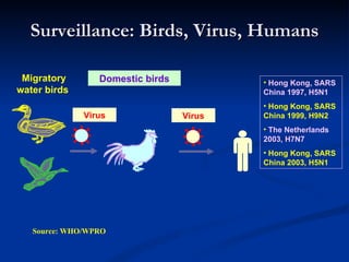 Surveillance: Birds, Virus, Humans Migratory water birds  Source: WHO/WPRO Hong Kong, SARS China 1997, H5N1 Hong Kong, SARS China 1999, H9N2 The Netherlands 2003, H7N7 Hong Kong, SARS China 2003, H5N1 Virus Virus Domestic birds 