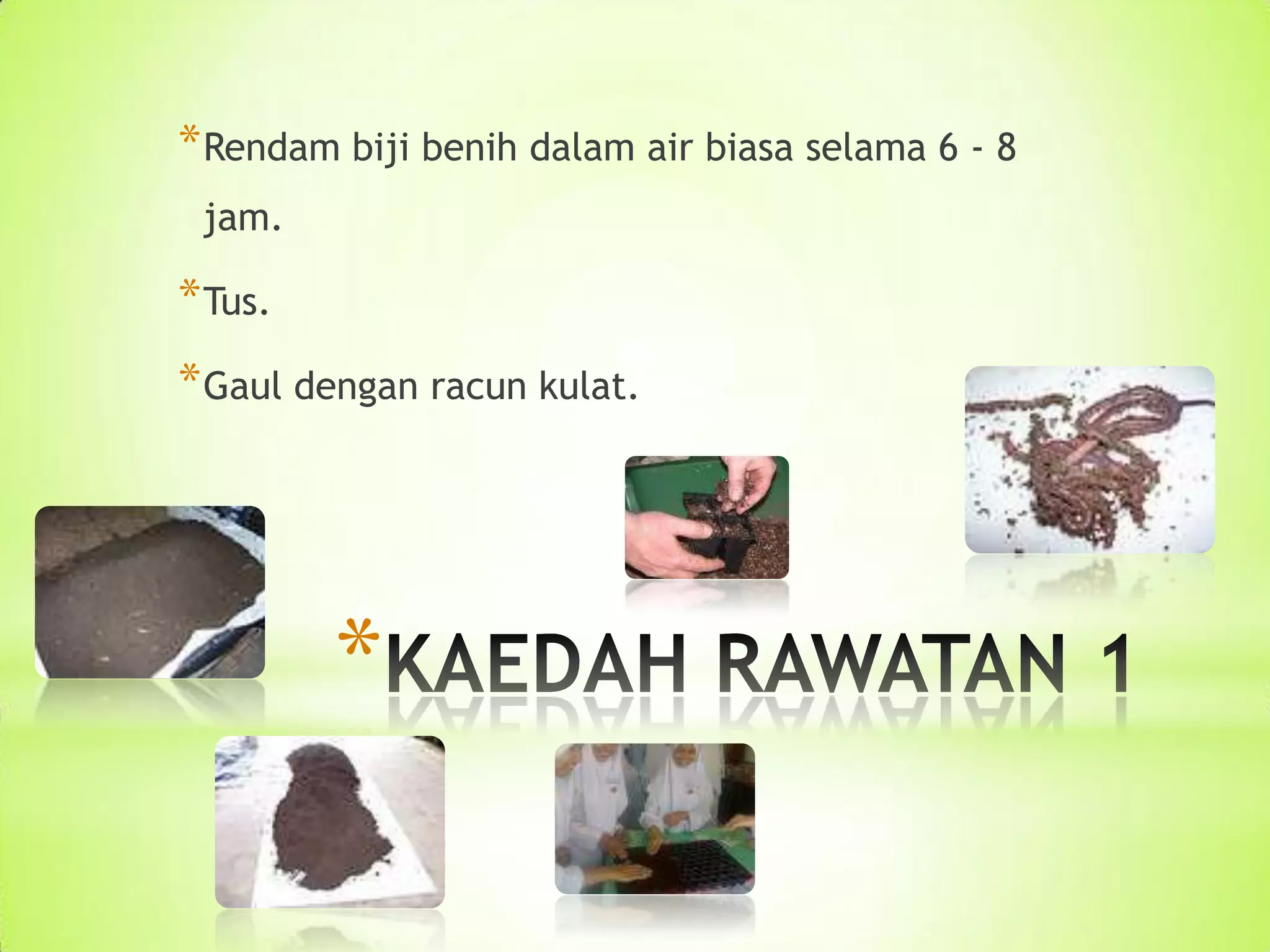 * Rendam biji benih dalam air biasa selama 6 - 8
jam.
* Tus.
* Gaul dengan racun kulat.
*